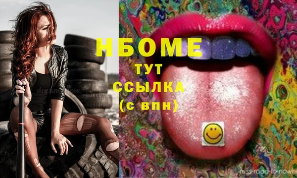 прущие грибы Беломорск