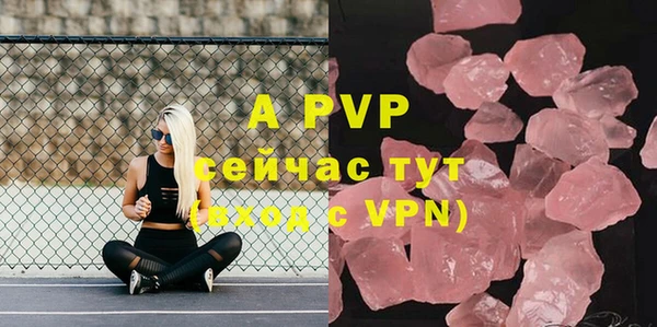 прущие грибы Беломорск