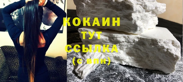 прущие грибы Беломорск
