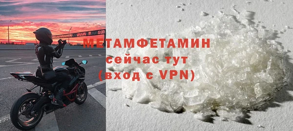 прущие грибы Беломорск