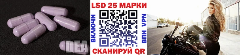 Купить закладки  Приозерск  ЛСД экстази ecstasy 