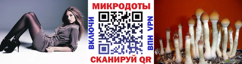 Купить закладки  Приозерск  Галлюциногенные грибы GOLDEN TEACHER 